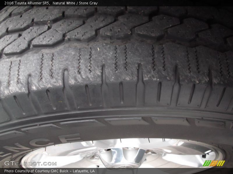 Natural White / Stone Gray 2006 Toyota 4Runner SR5