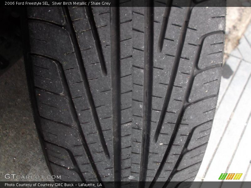 Silver Birch Metallic / Shale Grey 2006 Ford Freestyle SEL