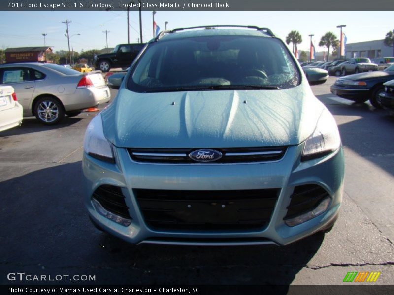 Frosted Glass Metallic / Charcoal Black 2013 Ford Escape SEL 1.6L EcoBoost