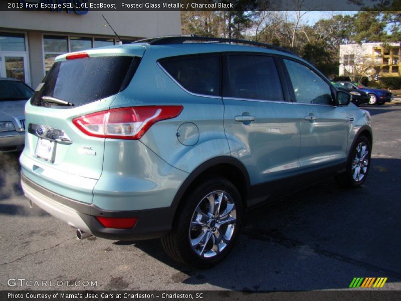 Frosted Glass Metallic / Charcoal Black 2013 Ford Escape SEL 1.6L EcoBoost