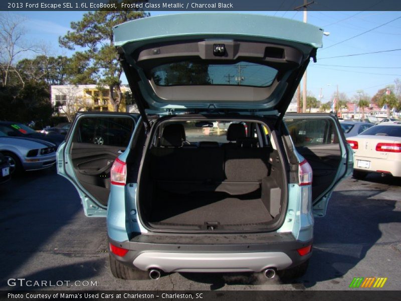 Frosted Glass Metallic / Charcoal Black 2013 Ford Escape SEL 1.6L EcoBoost