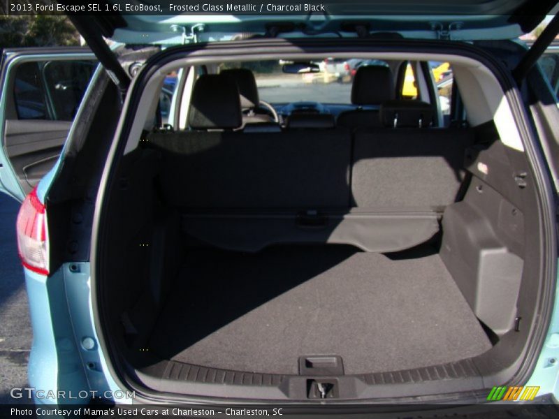 Frosted Glass Metallic / Charcoal Black 2013 Ford Escape SEL 1.6L EcoBoost