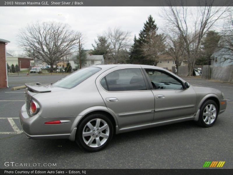 Sheer Silver / Black 2003 Nissan Maxima GLE