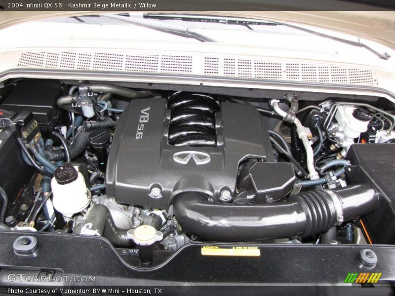 Kashmir Beige Metallic / Willow 2004 Infiniti QX 56
