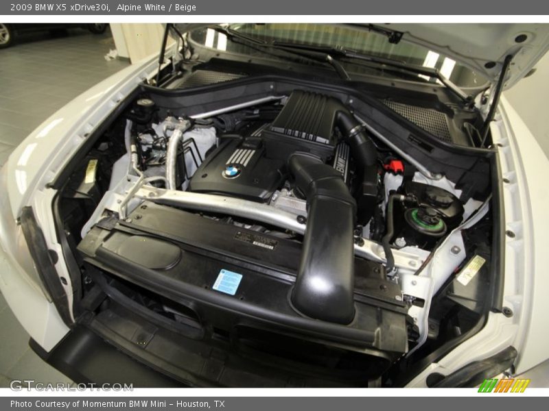 Alpine White / Beige 2009 BMW X5 xDrive30i