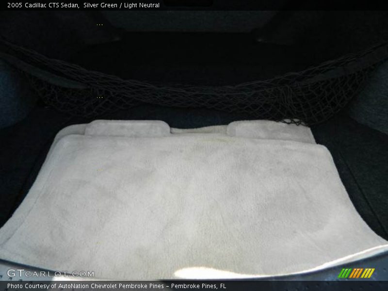Silver Green / Light Neutral 2005 Cadillac CTS Sedan