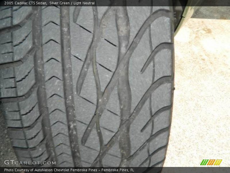 Silver Green / Light Neutral 2005 Cadillac CTS Sedan