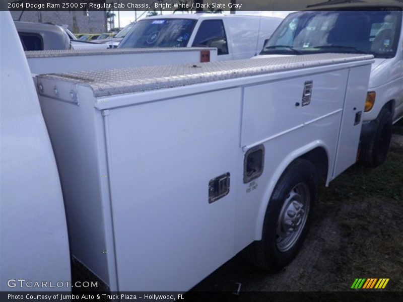 Bright White / Dark Slate Gray 2004 Dodge Ram 2500 ST Regular Cab Chassis