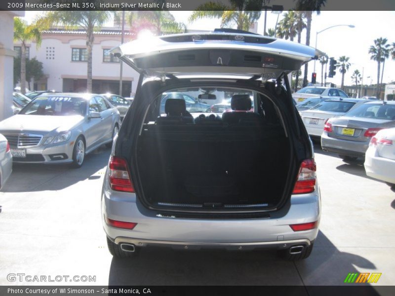 Iridium Silver Metallic / Black 2009 Mercedes-Benz ML 350