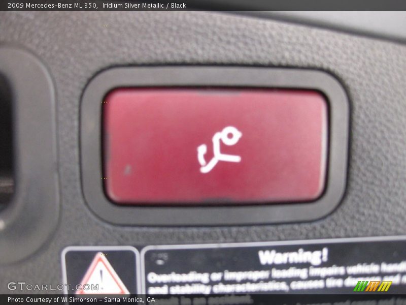 Iridium Silver Metallic / Black 2009 Mercedes-Benz ML 350