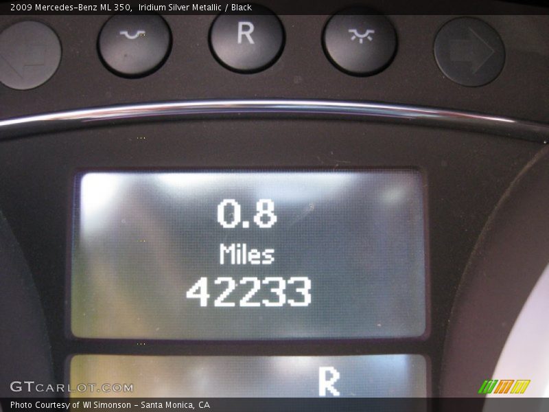 Iridium Silver Metallic / Black 2009 Mercedes-Benz ML 350