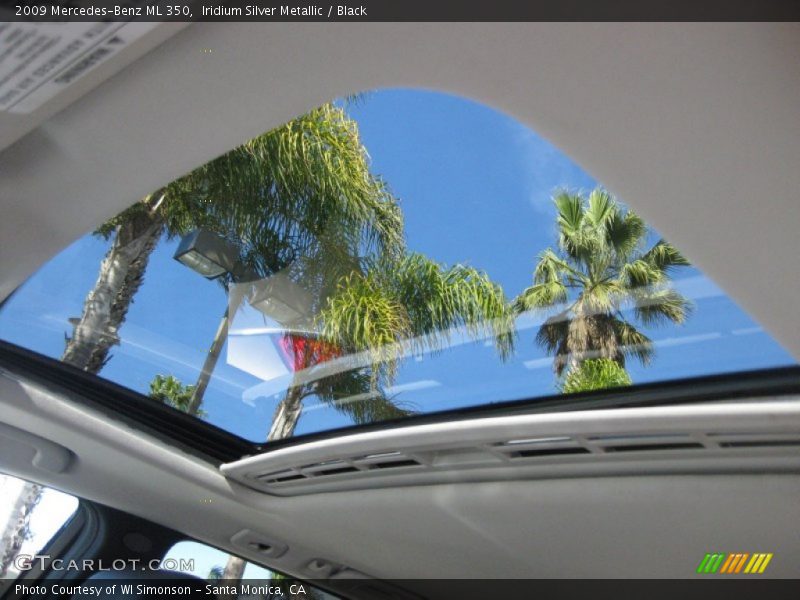 Iridium Silver Metallic / Black 2009 Mercedes-Benz ML 350