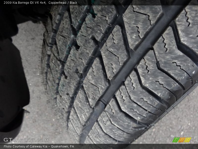 Copperhead / Black 2009 Kia Borrego EX V6 4x4