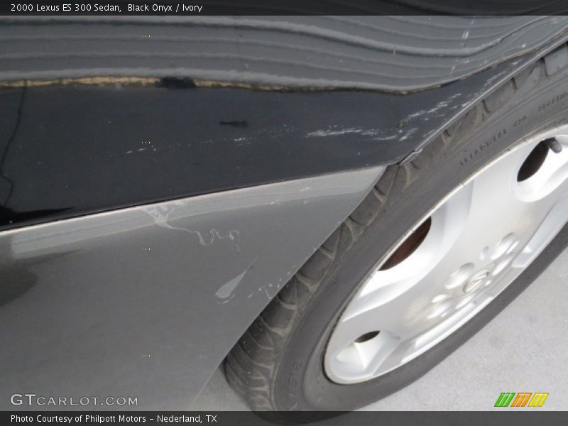 Black Onyx / Ivory 2000 Lexus ES 300 Sedan