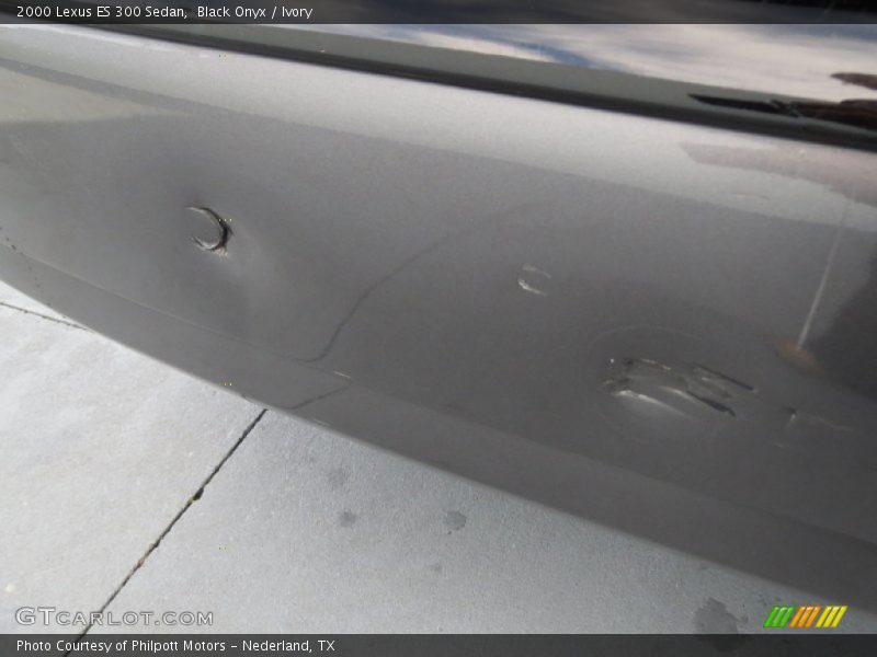 Black Onyx / Ivory 2000 Lexus ES 300 Sedan