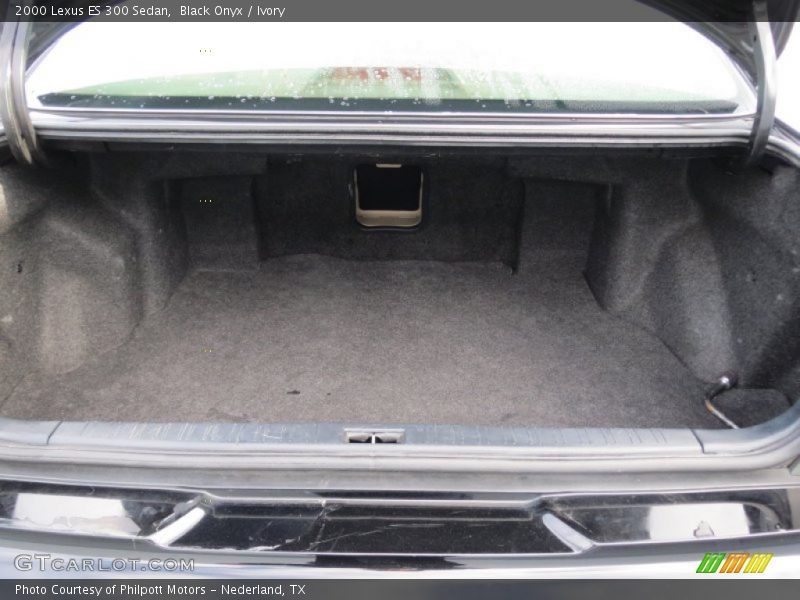 Black Onyx / Ivory 2000 Lexus ES 300 Sedan