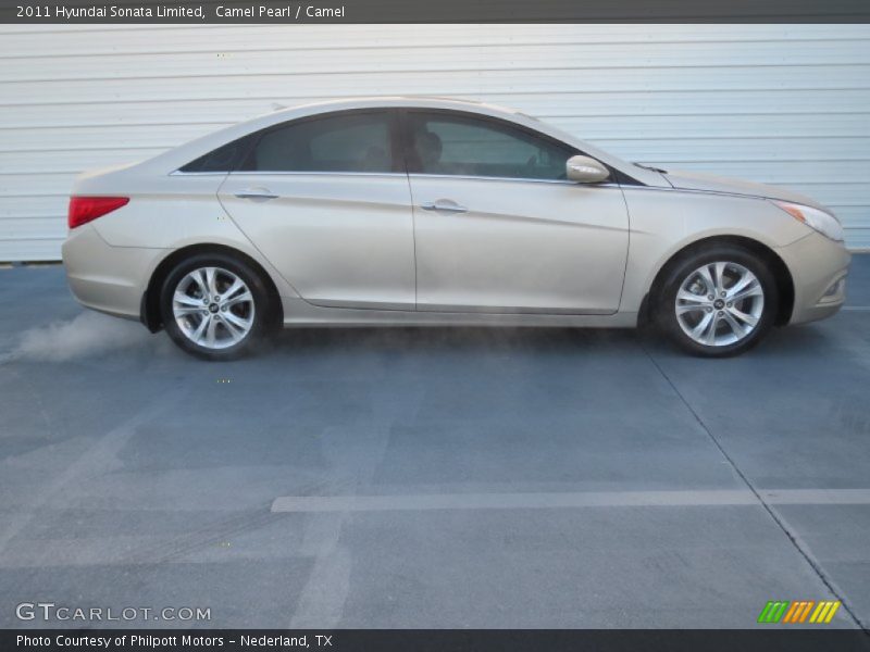 Camel Pearl / Camel 2011 Hyundai Sonata Limited