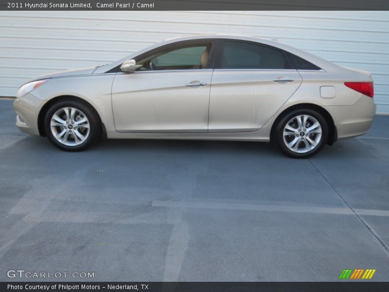 Camel Pearl / Camel 2011 Hyundai Sonata Limited