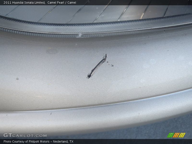 Camel Pearl / Camel 2011 Hyundai Sonata Limited