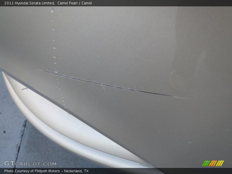 Camel Pearl / Camel 2011 Hyundai Sonata Limited