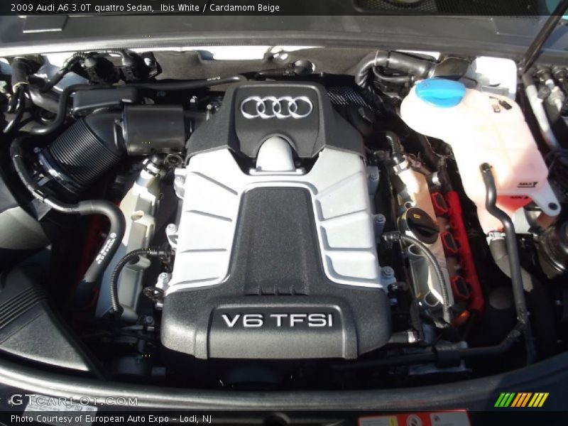 Ibis White / Cardamom Beige 2009 Audi A6 3.0T quattro Sedan
