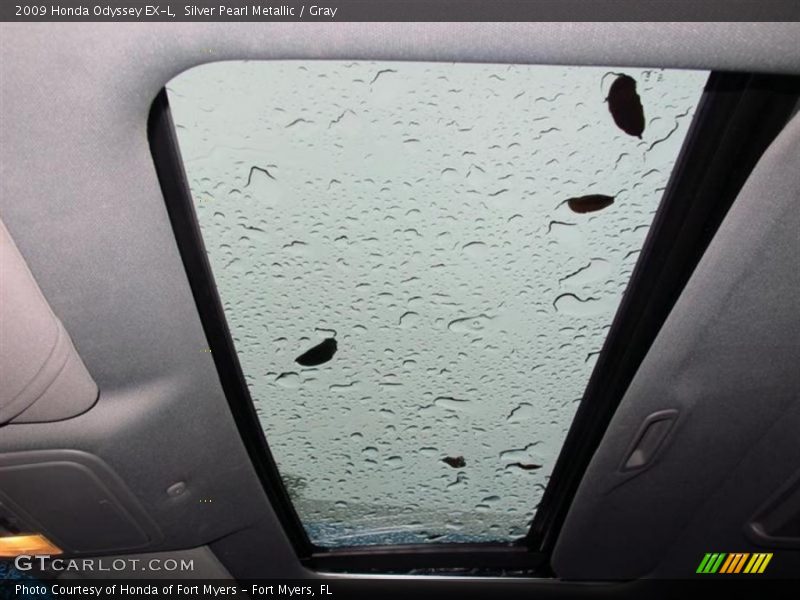 Silver Pearl Metallic / Gray 2009 Honda Odyssey EX-L