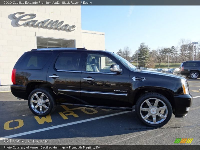 Black Raven / Ebony 2010 Cadillac Escalade Premium AWD