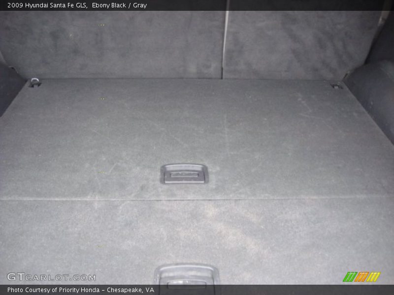 Ebony Black / Gray 2009 Hyundai Santa Fe GLS
