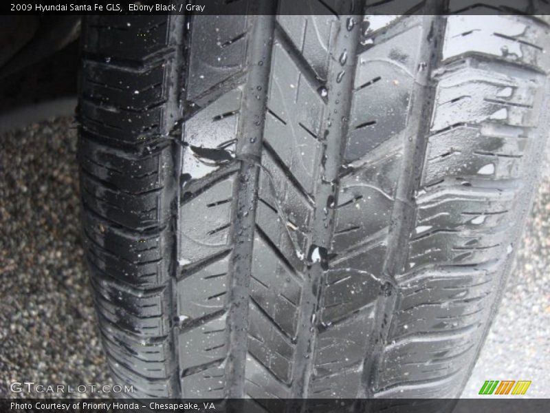 Ebony Black / Gray 2009 Hyundai Santa Fe GLS