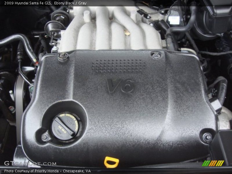 Ebony Black / Gray 2009 Hyundai Santa Fe GLS