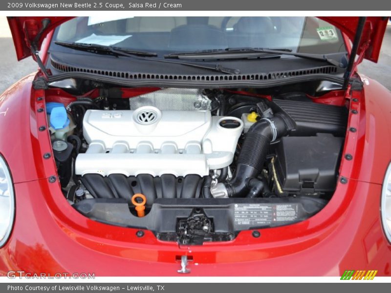 Salsa Red / Cream 2009 Volkswagen New Beetle 2.5 Coupe
