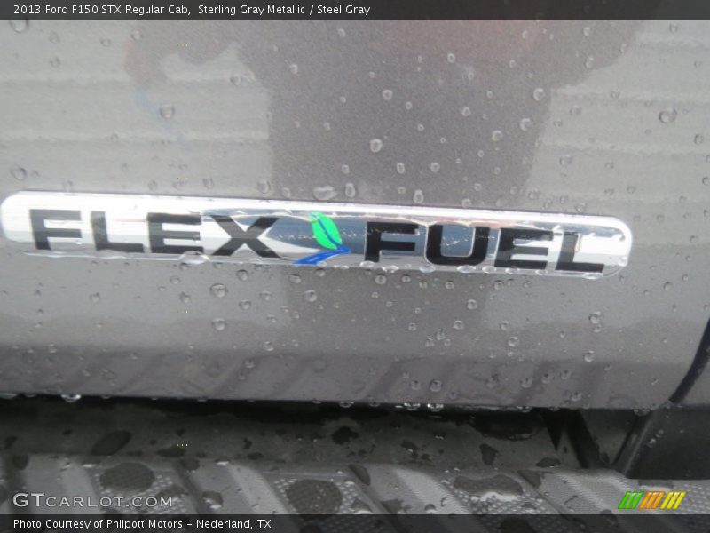 Sterling Gray Metallic / Steel Gray 2013 Ford F150 STX Regular Cab
