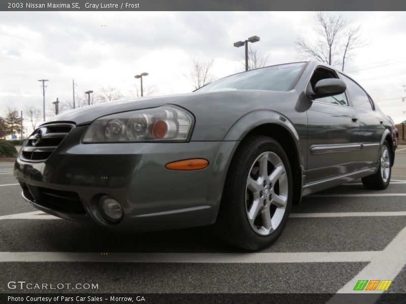 Gray Lustre / Frost 2003 Nissan Maxima SE