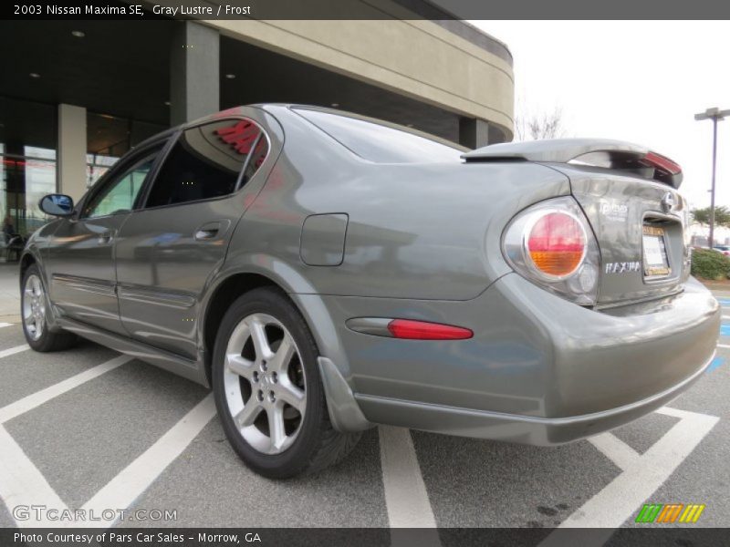 Gray Lustre / Frost 2003 Nissan Maxima SE