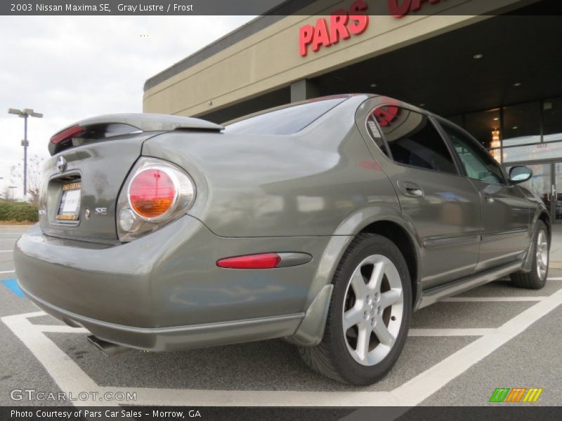 Gray Lustre / Frost 2003 Nissan Maxima SE