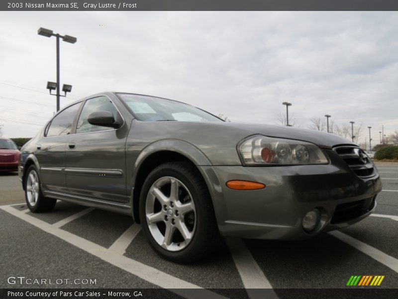 Gray Lustre / Frost 2003 Nissan Maxima SE
