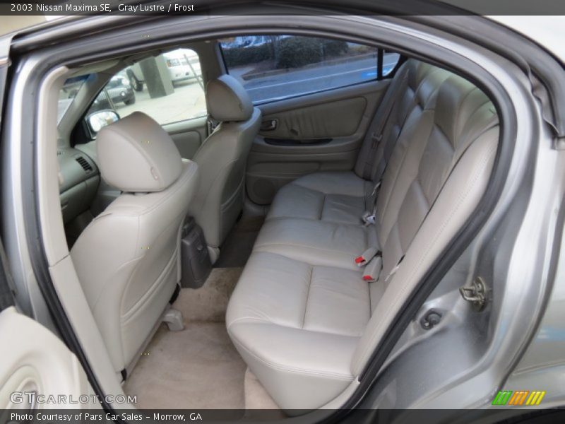 Gray Lustre / Frost 2003 Nissan Maxima SE