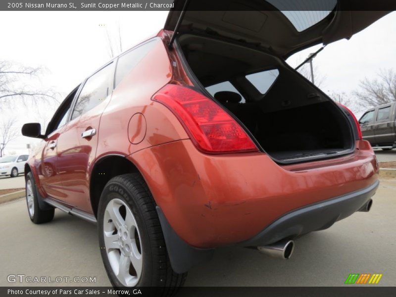 Sunlit Copper Metallic / Charcoal 2005 Nissan Murano SL