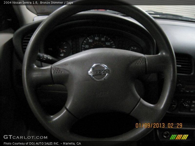 Bronze Shimmer / Sage 2004 Nissan Sentra 1.8