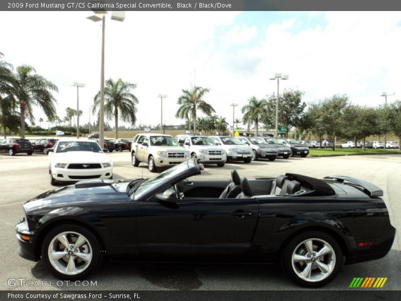 Black / Black/Dove 2009 Ford Mustang GT/CS California Special Convertible