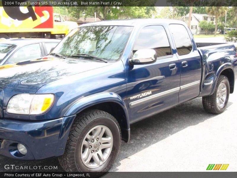 Blue Marlin Pearl / Gray 2004 Toyota Tundra SR5 TRD Access Cab