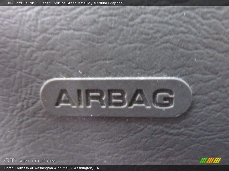 Spruce Green Metallic / Medium Graphite 2004 Ford Taurus SE Sedan