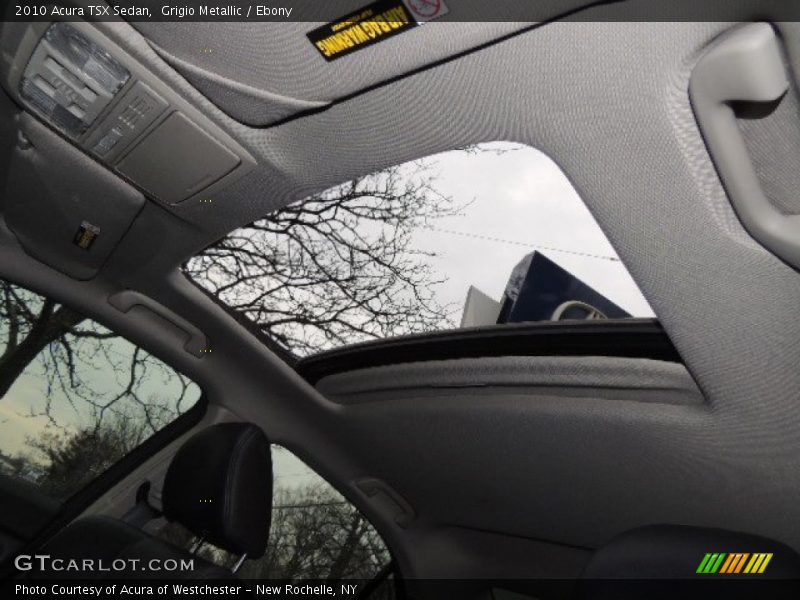 Grigio Metallic / Ebony 2010 Acura TSX Sedan
