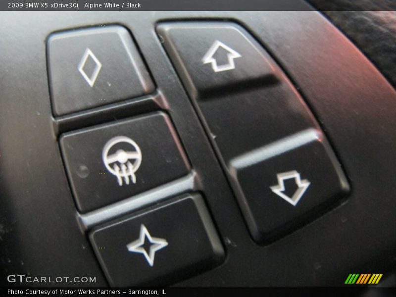 Alpine White / Black 2009 BMW X5 xDrive30i
