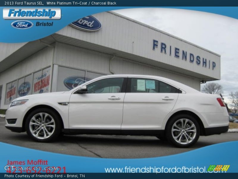 White Platinum Tri-Coat / Charcoal Black 2013 Ford Taurus SEL