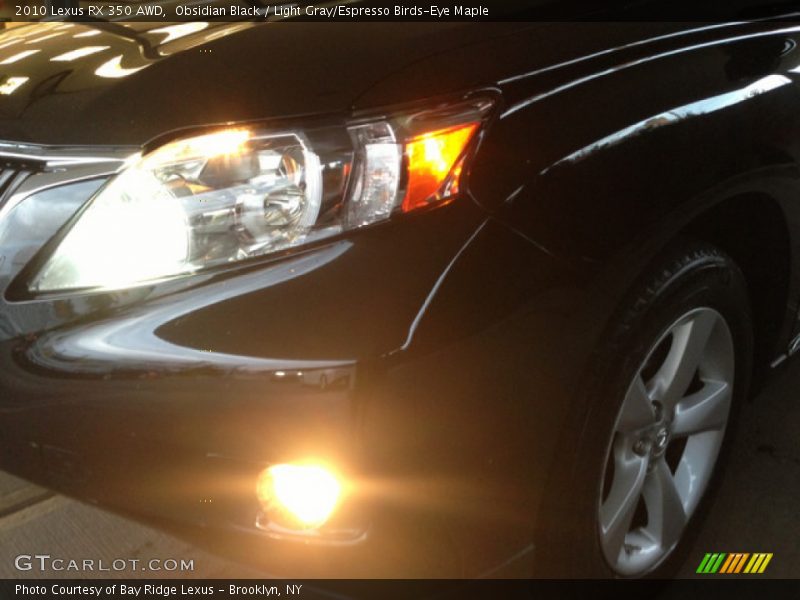 Obsidian Black / Light Gray/Espresso Birds-Eye Maple 2010 Lexus RX 350 AWD