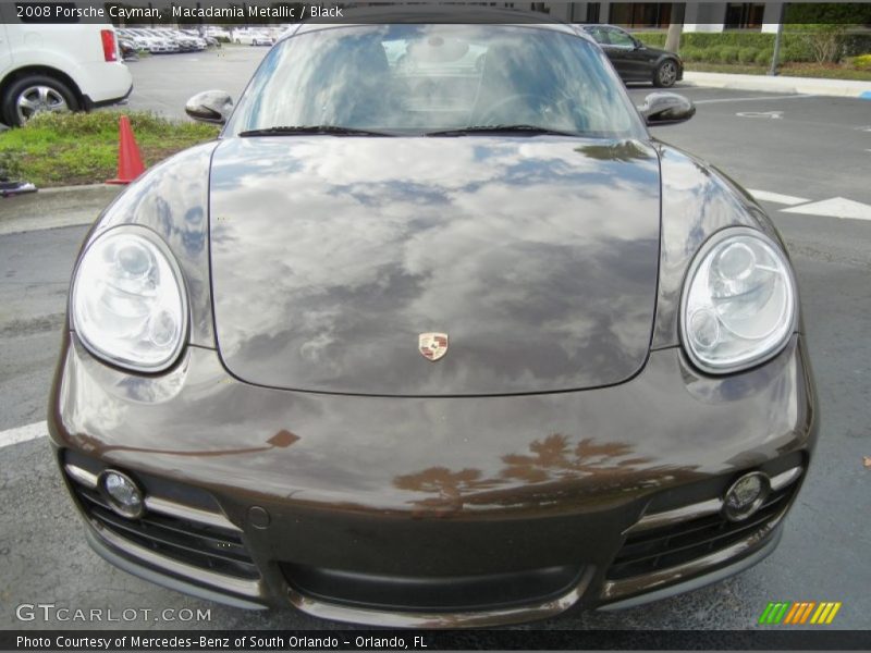  2008 Cayman  Macadamia Metallic