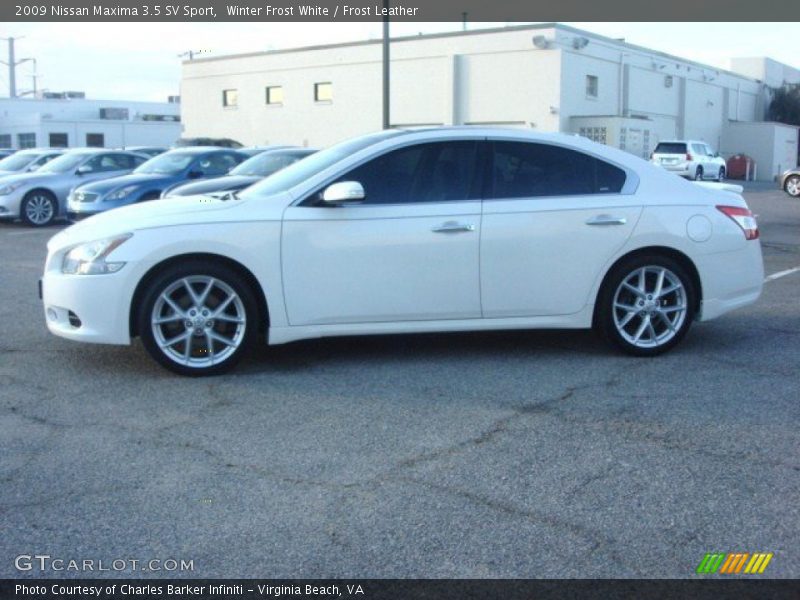 Winter Frost White / Frost Leather 2009 Nissan Maxima 3.5 SV Sport