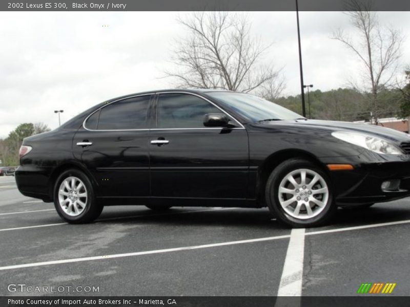 Black Onyx / Ivory 2002 Lexus ES 300