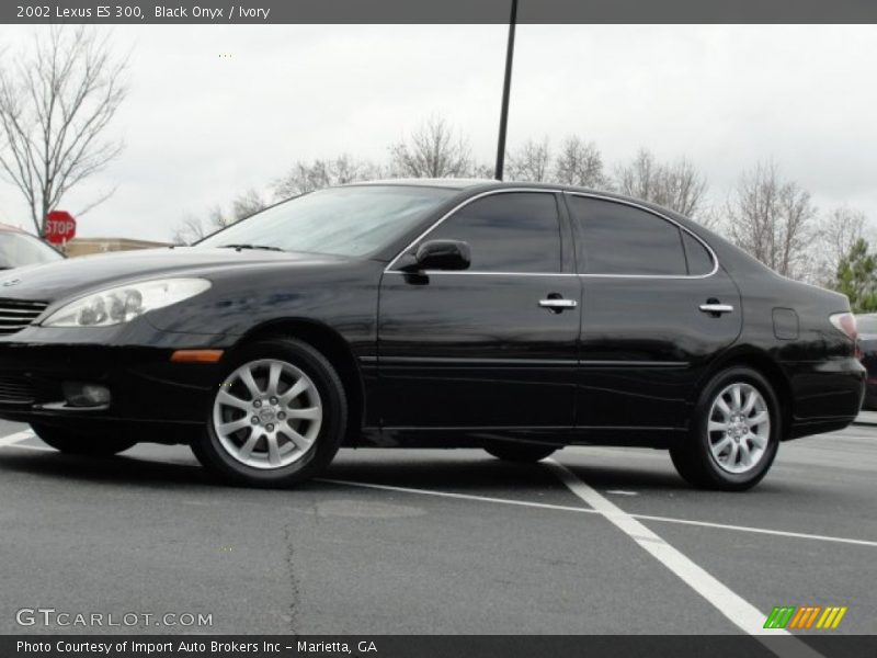 Black Onyx / Ivory 2002 Lexus ES 300